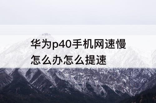 华为p40手机网速慢怎么办怎么提速