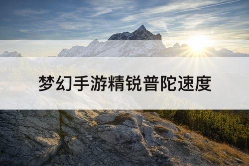 梦幻手游精锐普陀速度