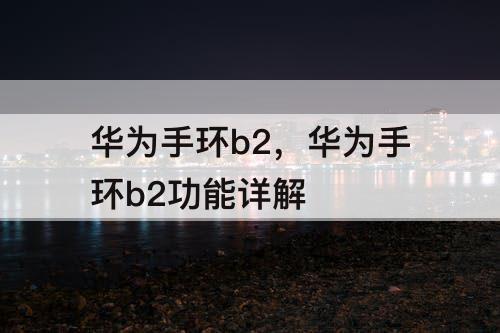 华为手环b2，华为手环b2功能详解