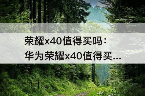 荣耀x40值得买吗：华为荣耀x40值得买吗