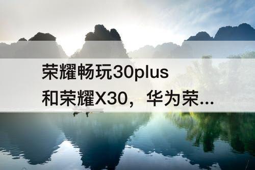 荣耀畅玩30plus和荣耀X30，华为荣耀畅玩30plus和荣耀x30哪个好