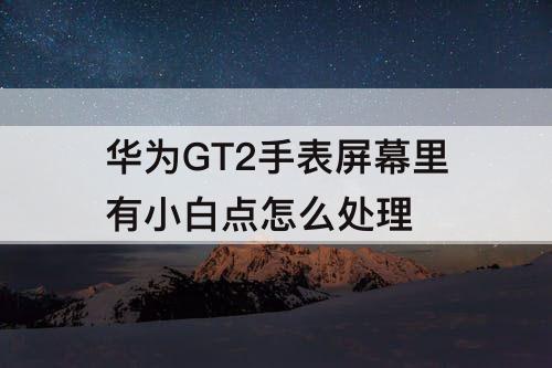 华为GT2手表屏幕里有小白点怎么处理