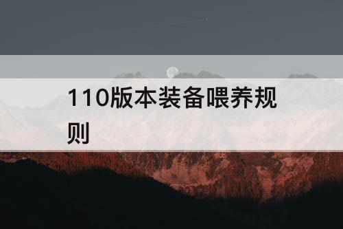 110版本装备喂养规则