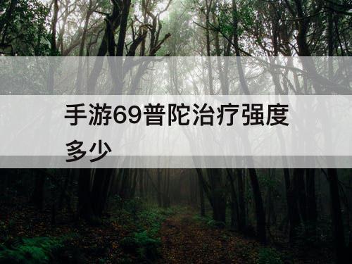 手游69普陀治疗强度多少