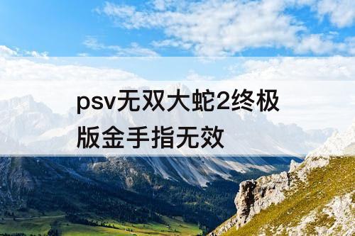 psv无双大蛇2终极版金手指无效