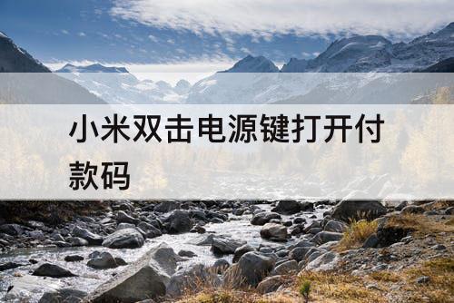 小米双击电源键打开付款码