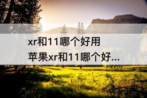 xr和11哪个好用 苹果xr和11哪个好用