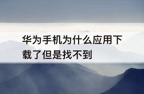 华为手机为什么应用下载了但是找不到