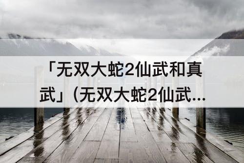 「无双大蛇2仙武和真武」(无双大蛇2仙武和真武哪个好用)