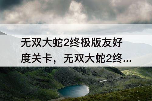 无双大蛇2终极版友好度关卡，无双大蛇2终极版友好度关卡怎么出