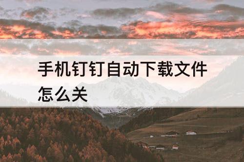 手机钉钉自动下载文件怎么关