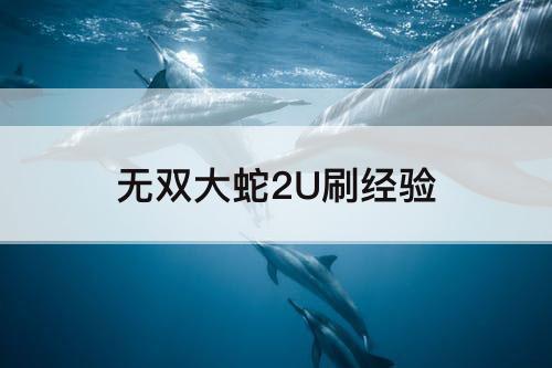 无双大蛇2U刷经验