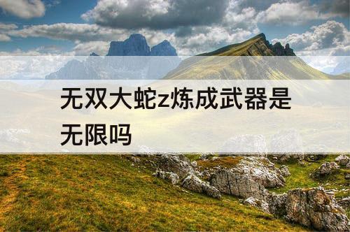 无双大蛇z炼成武器是无限吗