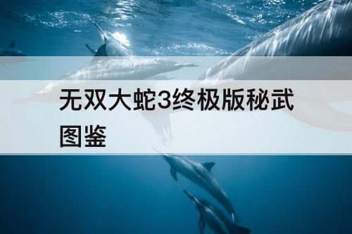 无双大蛇3终极版秘武图鉴
