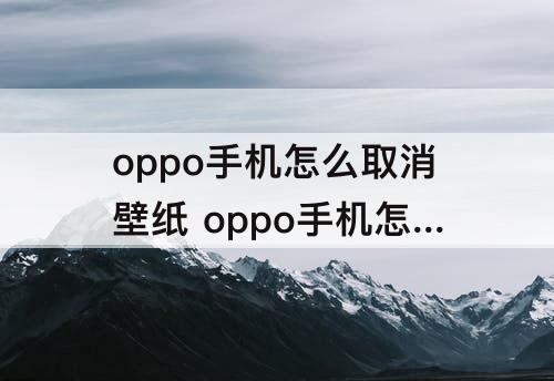 oppo手机怎么取消壁纸 oppo手机怎么取消壁纸自动切换