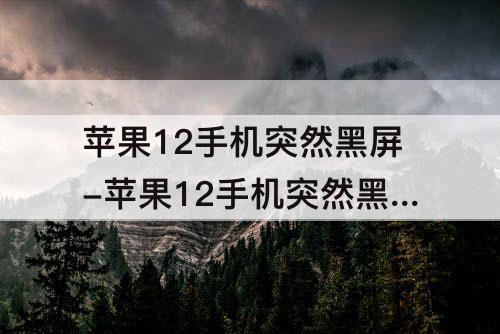 苹果12手机突然黑屏-苹果12手机突然黑屏打不开怎么办打开一直叫