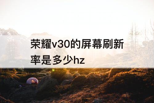 荣耀v30的屏幕刷新率是多少hz