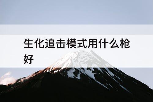 生化追击模式用什么枪好