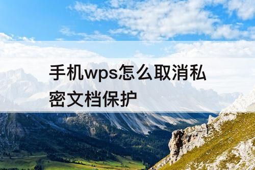 手机wps怎么取消私密文档保护