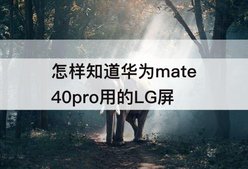怎样知道华为mate40pro用的LG屏