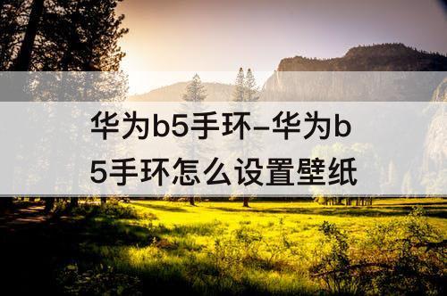华为b5手环-华为b5手环怎么设置壁纸