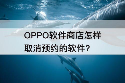 OPPO软件商店怎样取消预约的软件?