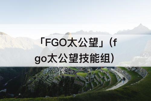「FGO太公望」(fgo太公望技能组)