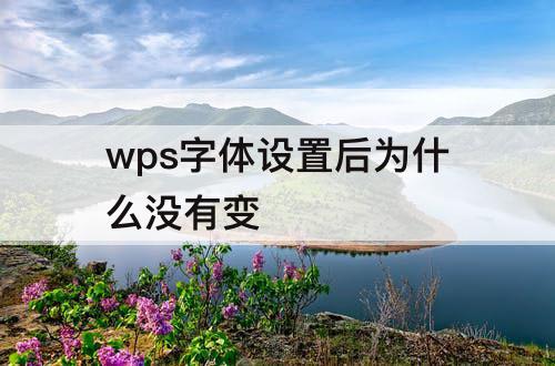 wps字体设置后为什么没有变