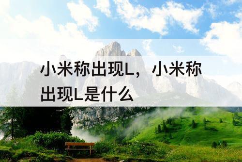 小米称出现L，小米称出现L是什么