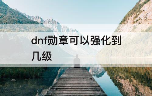 dnf勋章可以强化到几级