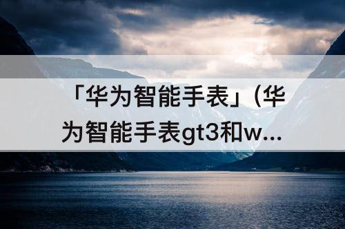 「华为智能手表」(华为智能手表gt3和watch3区别)