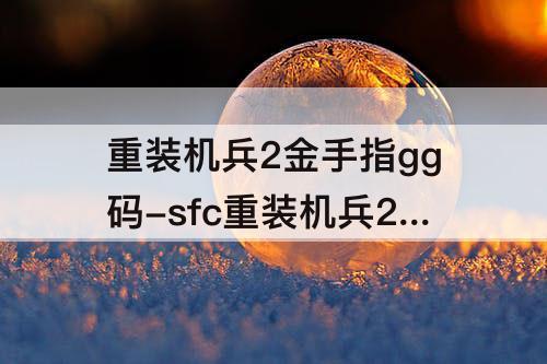 重装机兵2金手指gg码-sfc重装机兵2金手指gg码
