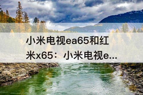 小米电视ea65和红米x65：小米电视ea65和红米x65哪个好