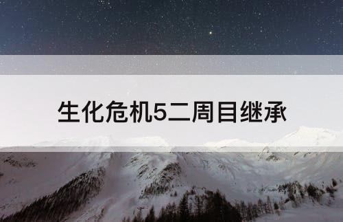 生化危机5二周目继承