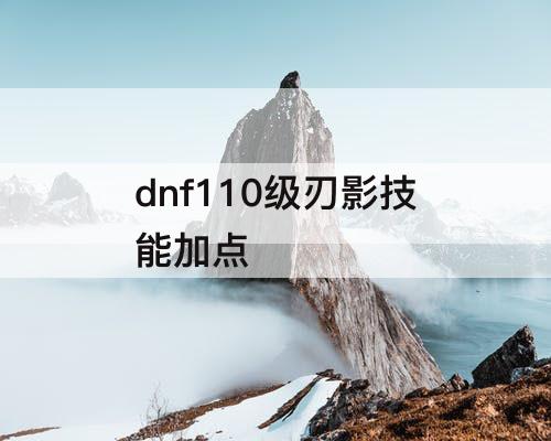 dnf110级刃影技能加点