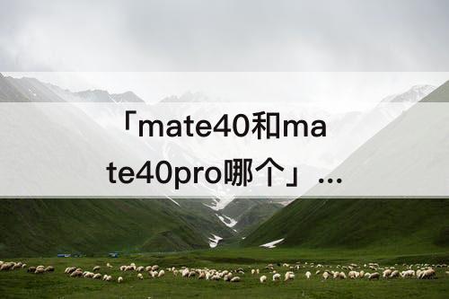 「mate40和mate40pro哪个」(华为mate40和mate40pro哪个更值得买)