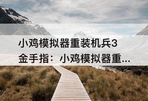 小鸡模拟器重装机兵3金手指：小鸡模拟器重装机兵3金手指代码怎么用
