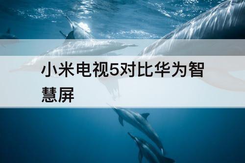 小米电视5对比华为智慧屏