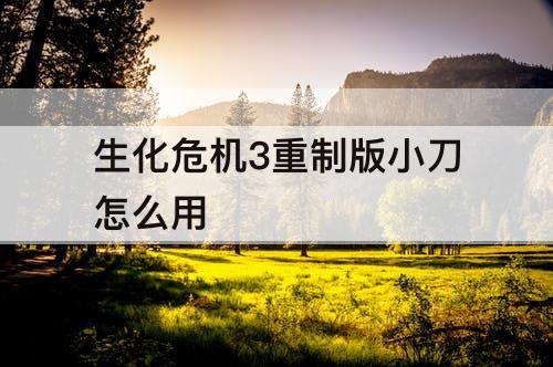 生化危机3重制版小刀怎么用