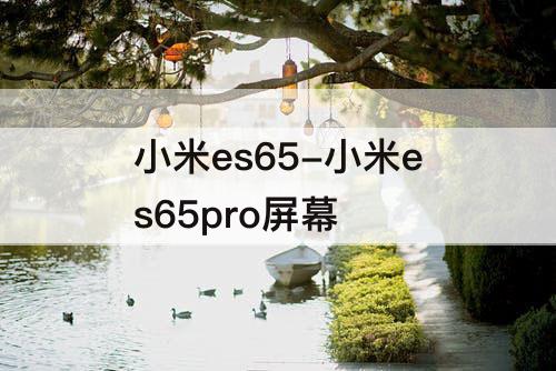 小米es65-小米es65pro屏幕
