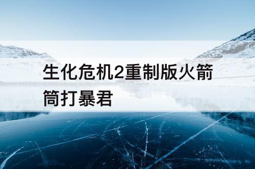 生化危机2重制版火箭筒打暴君