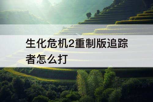 生化危机2重制版追踪者怎么打