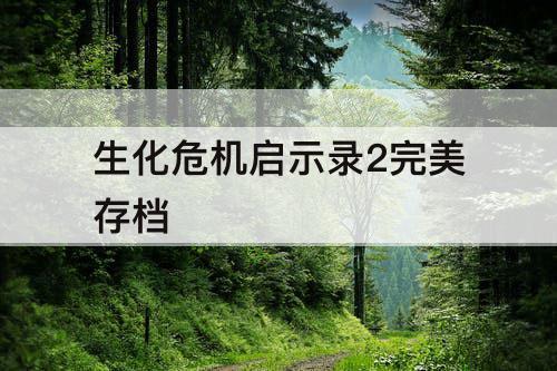 生化危机启示录2完美存档