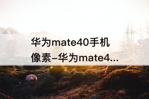华为mate40手机像素-华为mate40手机像素怎么样