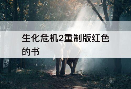 生化危机2重制版红色的书