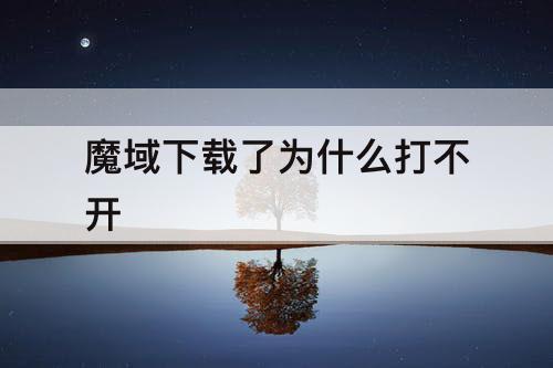 魔域下载了为什么打不开