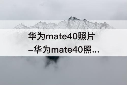 华为mate40照片-华为mate40照片提取文字