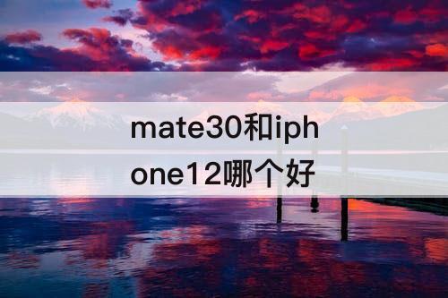 mate30和iphone12哪个好