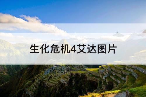 生化危机4艾达图片