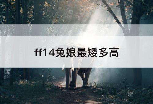 ff14兔娘最矮多高